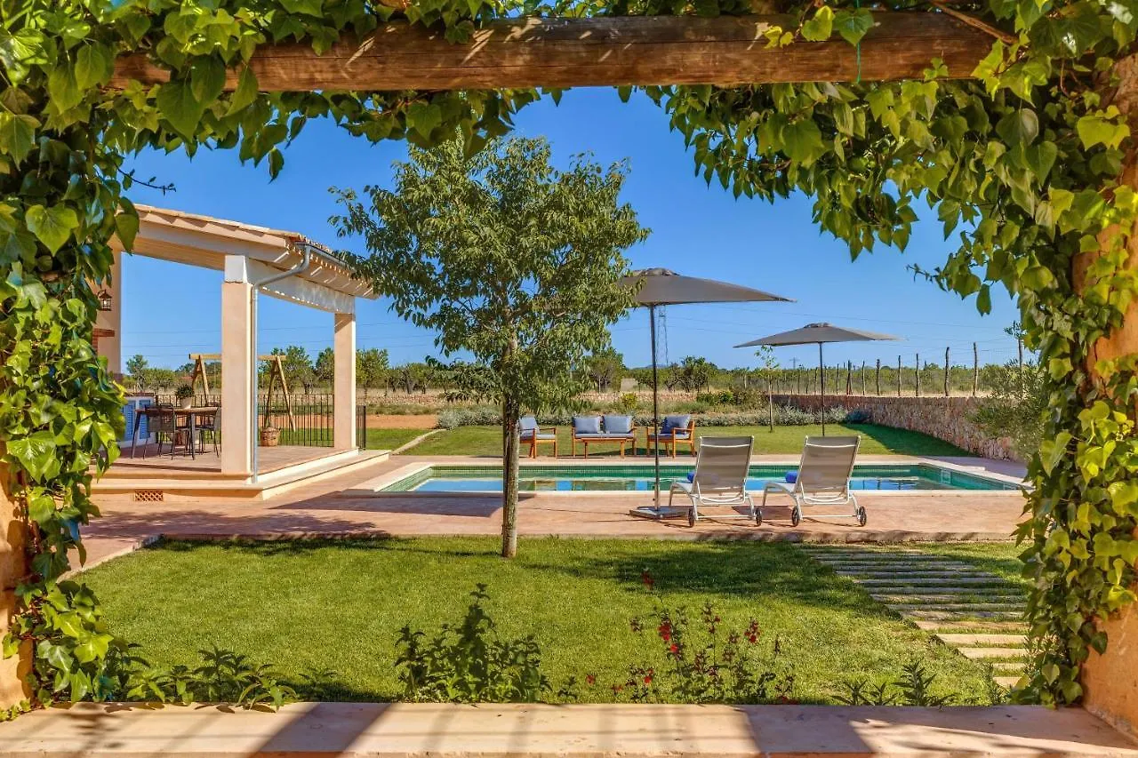Villa Sa Vinya Jove Biniali  Spagna